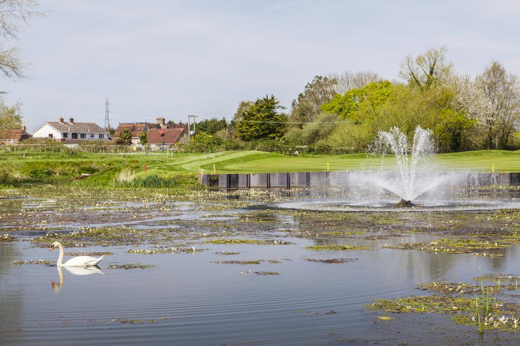 Dudsbury Golf Club - Hotel And Spa เฟิร์นดาวน์ ภายนอก รูปภาพ