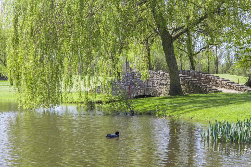 Dudsbury Golf Club - Hotel And Spa เฟิร์นดาวน์ ภายนอก รูปภาพ